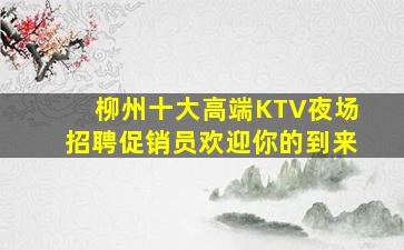 陇南酒吧招聘